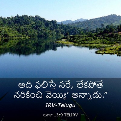 Picture 03 - లూకా 13:9 TELIRV - అది ఫలిస్తే సరే, - Bible Verse Picture