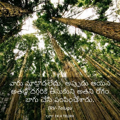 Picture 03 - లూకా 14:4 TELIRV - వారు మాట్లాడలేదు. - Bible Verse Picture