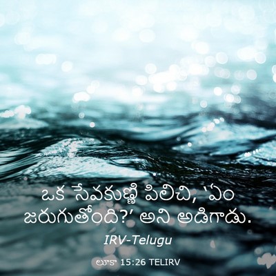 Picture 03 - లూకా 15:26 TELIRV - ఒక సేవకుణ్ణి - Bible Verse Picture