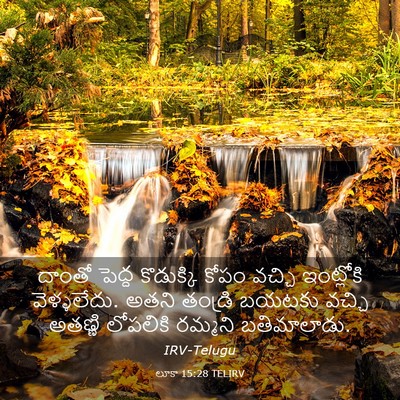 Picture 03 - లూకా 15:28 TELIRV - దాంతో పెద్ద - Bible Verse Picture