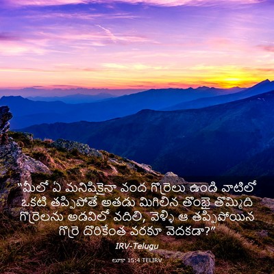 Picture 03 - లూకా 15:4 TELIRV - “మీలో ఏ మనిషికైనా - Bible Verse Picture