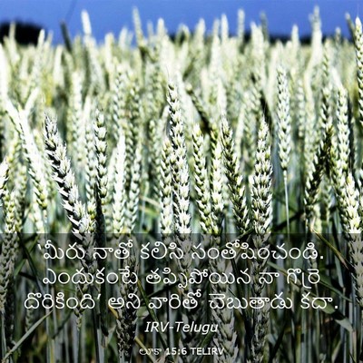 Picture 03 - లూకా 15:6 TELIRV - ‘మీరు నాతో కలిసి - Bible Verse Picture