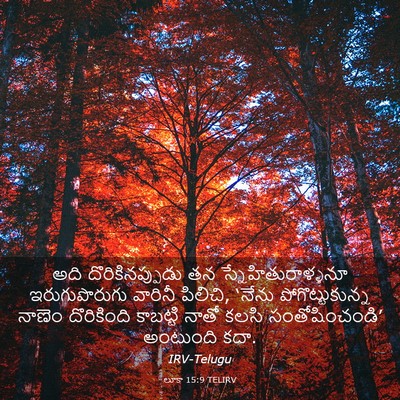 Picture 03 - లూకా 15:9 TELIRV - అది దొరికినప్పుడు - Bible Verse Picture