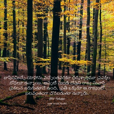 Picture 03 - లూకా 16:16 TELIRV - బాప్తిసమిచ్చే - Bible Verse Picture