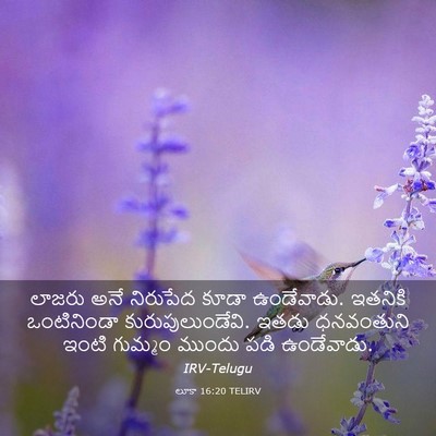 Picture 03 - లూకా 16:20 TELIRV - లాజరు అనే నిరుపేద - Bible Verse Picture