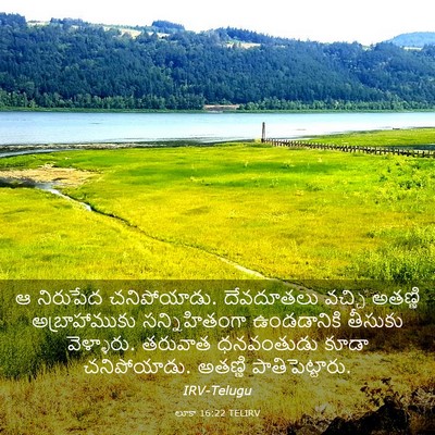 Picture 03 - లూకా 16:22 TELIRV - ఆ నిరుపేద - Bible Verse Picture