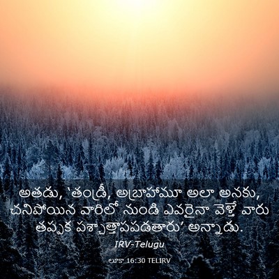 Picture 03 - లూకా 16:30 TELIRV - అతడు, ‘తండ్రీ, - Bible Verse Picture