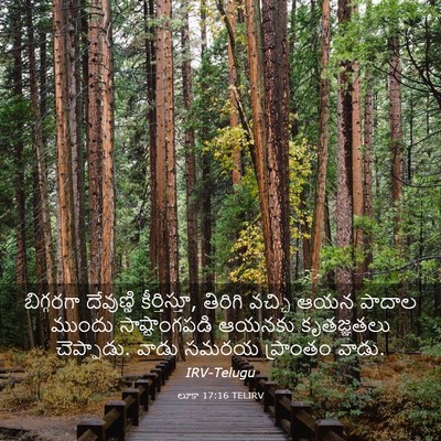 Picture 03 - లూకా 17:16 TELIRV - బిగ్గరగా దేవుణ్ణి - Bible Verse Picture