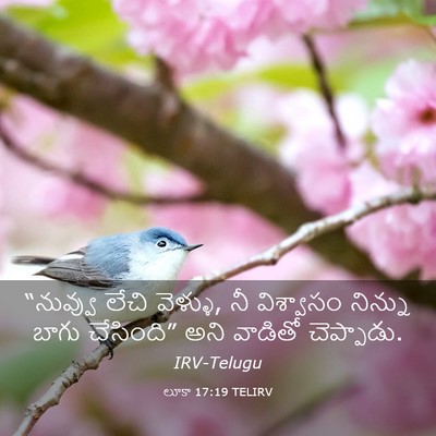Picture 03 - లూకా 17:19 TELIRV - “నువ్వు లేచి - Bible Verse Picture