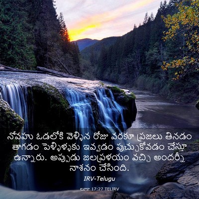 Picture 03 - లూకా 17:27 TELIRV - నోవహు ఓడలోకి - Bible Verse Picture