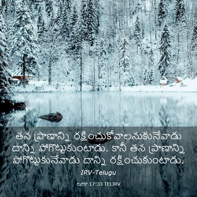 Picture 03 - లూకా 17:33 TELIRV - తన ప్రాణాన్ని - Bible Verse Picture
