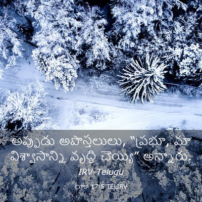 Picture 03 - లూకా 17:5 TELIRV - అప్పుడు - Bible Verse Picture