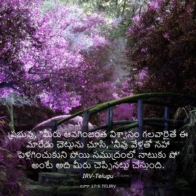 Picture 03 - లూకా 17:6 TELIRV - ప్రభువు, “మీరు - Bible Verse Picture