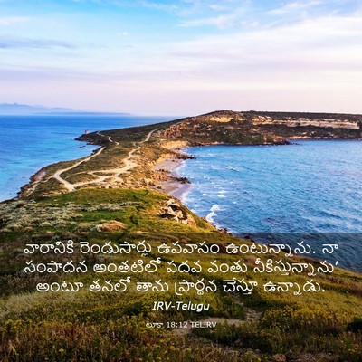 Picture 03 - లూకా 18:12 TELIRV - వారానికి - Bible Verse Picture