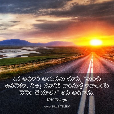 Picture 03 - లూకా 18:18 TELIRV - ఒక అధికారి ఆయనను - Bible Verse Picture