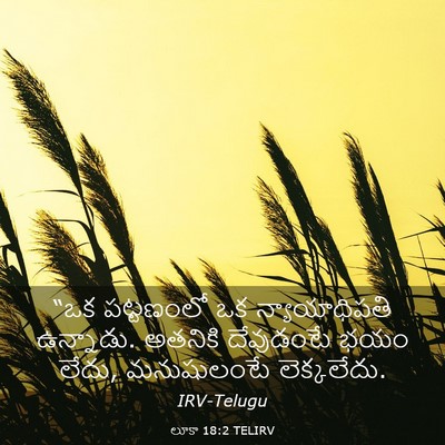 Picture 03 - లూకా 18:2 TELIRV - “ఒక పట్టణంలో ఒక - Bible Verse Picture