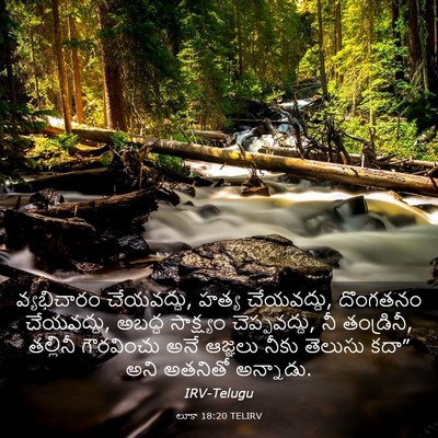Picture 03 - లూకా 18:20 TELIRV - వ్యభిచారం - Bible Verse Picture