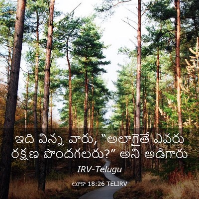 Picture 03 - లూకా 18:26 TELIRV - ఇది విన్న వారు, - Bible Verse Picture