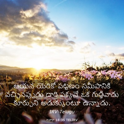 Picture 03 - లూకా 18:35 TELIRV - ఆయన యెరికో పట్టణం - Bible Verse Picture
