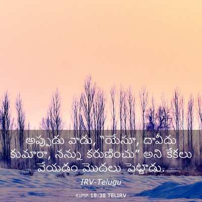 Picture 03 - లూకా 18:38 TELIRV - అప్పుడు వాడు, - Bible Verse Picture