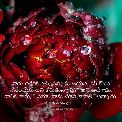 Picture 03 - లూకా 18:41 TELIRV - వాడు దగ్గరికి - Bible Verse Picture