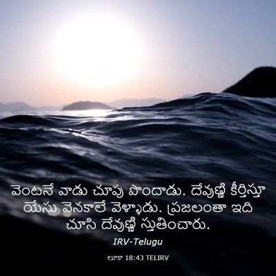 Picture 03 - లూకా 18:43 TELIRV - వెంటనే వాడు చూపు - Bible Verse Picture