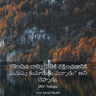 Picture 03 - లూకా 19:10 TELIRV - నశించిన దాన్ని - Bible Verse Picture