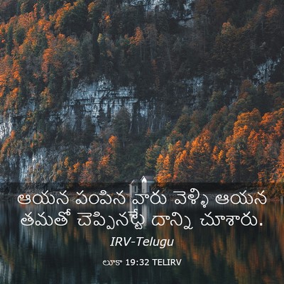 Picture 03 - లూకా 19:32 TELIRV - ఆయన పంపిన వారు - Bible Verse Picture