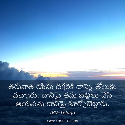 Picture 03 - లూకా 19:35 TELIRV - తరువాత యేసు - Bible Verse Picture