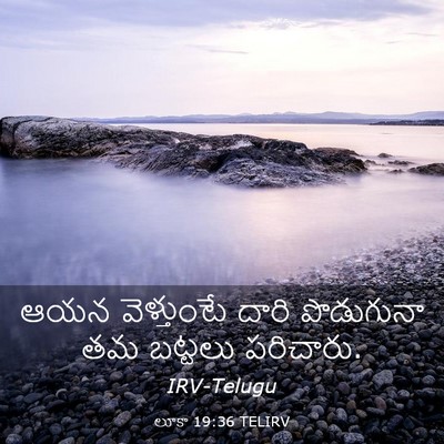 Picture 03 - లూకా 19:36 TELIRV - ఆయన వెళ్తుంటే - Bible Verse Picture