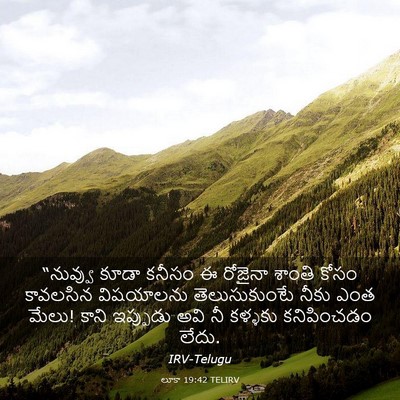Picture 03 - లూకా 19:42 TELIRV - “నువ్వు కూడా - Bible Verse Picture