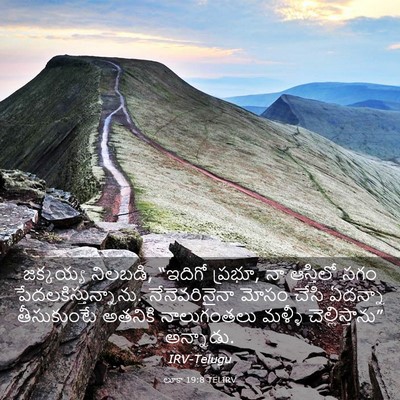 Picture 03 - లూకా 19:8 TELIRV - జక్కయ్య నిలబడి, - Bible Verse Picture