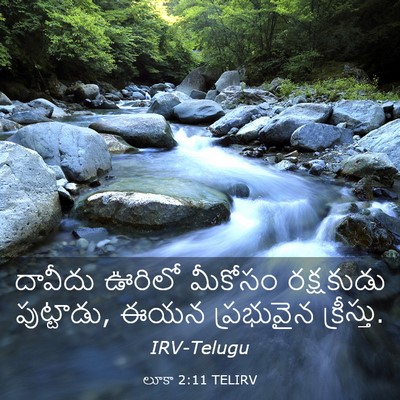 Picture 03 - లూకా 2:11 TELIRV - దావీదు ఊరిలో - Bible Verse Picture