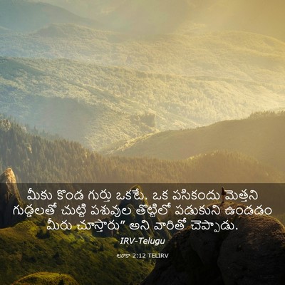 Picture 03 - లూకా 2:12 TELIRV - మీకు కొండ గుర్తు - Bible Verse Picture