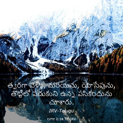Picture 03 - లూకా 2:16 TELIRV - త్వరగా వెళ్ళి, - Bible Verse Picture