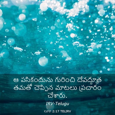 Picture 03 - లూకా 2:17 TELIRV - ఆ పసికందును - Bible Verse Picture