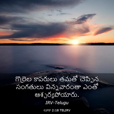 Picture 03 - లూకా 2:18 TELIRV - గొర్రెల కాపరులు - Bible Verse Picture