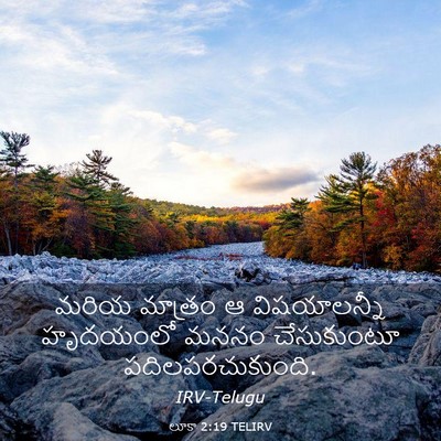 Picture 03 - లూకా 2:19 TELIRV - మరియ మాత్రం ఆ - Bible Verse Picture