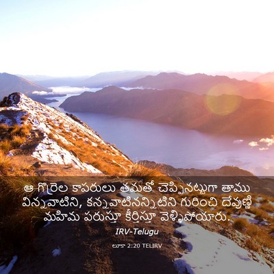 Picture 03 - లూకా 2:20 TELIRV - ఆ గొర్రెల కాపరులు - Bible Verse Picture