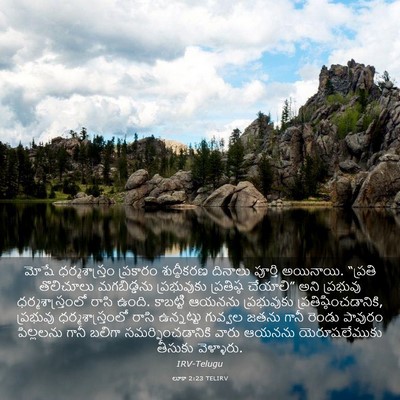 Picture 03 - లూకా 2:23 TELIRV - మోషే ధర్మశాస్త్రం - Bible Verse Picture