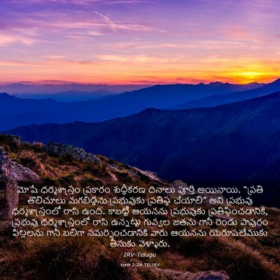 Picture 03 - లూకా 2:24 TELIRV - మోషే ధర్మశాస్త్రం - Bible Verse Picture
