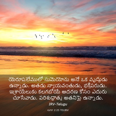 Picture 03 - లూకా 2:25 TELIRV - యెరూషలేములో - Bible Verse Picture