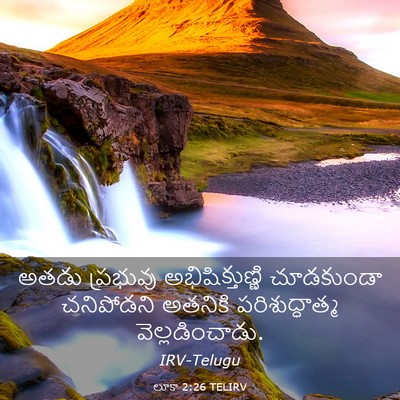Picture 03 - లూకా 2:26 TELIRV - అతడు ప్రభువు - Bible Verse Picture