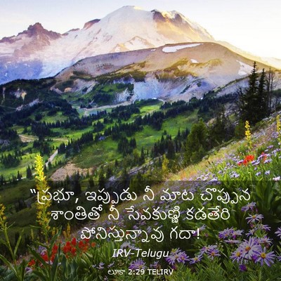 Picture 03 - లూకా 2:29 TELIRV - “ప్రభూ, ఇప్పుడు నీ - Bible Verse Picture