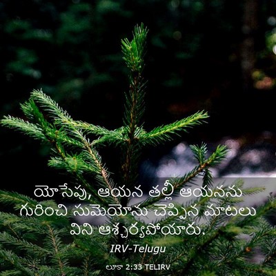 Picture 03 - లూకా 2:33 TELIRV - యోసేపు, ఆయన తల్లీ - Bible Verse Picture