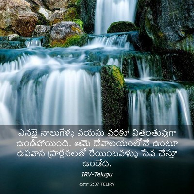 Picture 03 - లూకా 2:37 TELIRV - ఎనభై నాలుగేళ్ళ - Bible Verse Picture