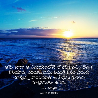 Picture 03 - లూకా 2:38 TELIRV - ఆమె కూడా ఆ - Bible Verse Picture