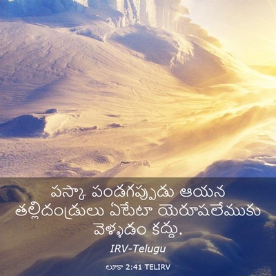 Picture 03 - లూకా 2:41 TELIRV - పస్కా పండగప్పుడు - Bible Verse Picture