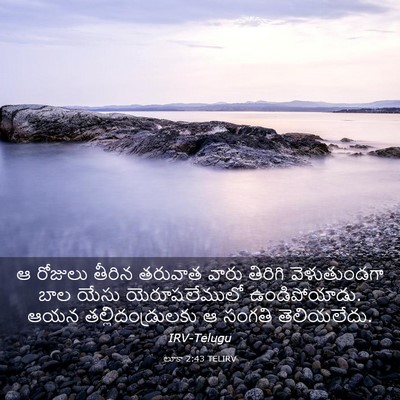 Picture 03 - లూకా 2:43 TELIRV - ఆ రోజులు తీరిన - Bible Verse Picture