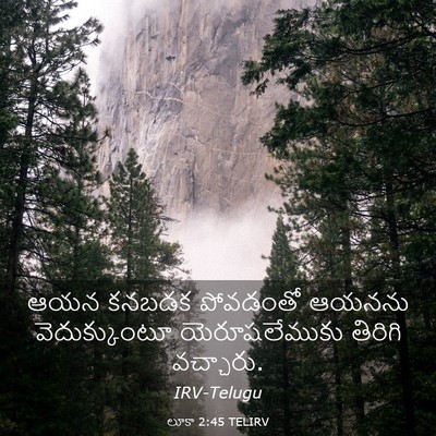 Picture 03 - లూకా 2:45 TELIRV - ఆయన కనబడక పోవడంతో - Bible Verse Picture
